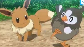 Pokemon 2019 - 74.2
