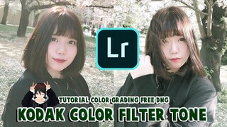 Tutorial Edit Foto Kodak Color Filter Tone| Lightroom Mobile (Free DNG) |【Indonesia / Vtuber】