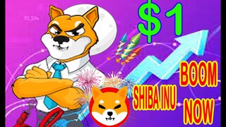 BOOM TONIGHT - SHIBA INU NEWS #SHIBAINU #SULTANSARMAN28