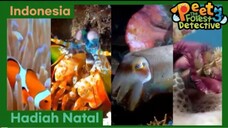 Hadiah Natal Yang Sangat Spesial - Peet The Forest Detective 3 (Bahasa Indonesia)
