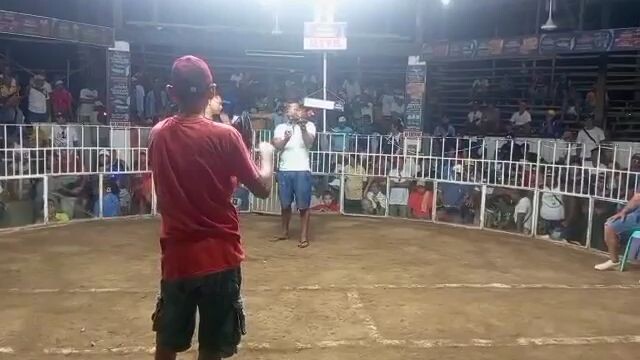 3 cock Feb 11 entry lucky JGP Bongco 3rd fyt draw