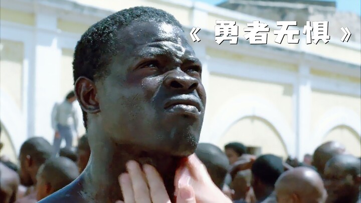 Người da trắng bôi đầy mỡ lợn lên người người da đen, hóa ra là để thu lợi lớn hơn! “Dũng Giả Vô Kị”