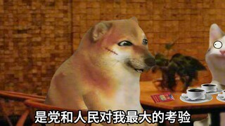 我对她忠诚，但不能只对她忠诚