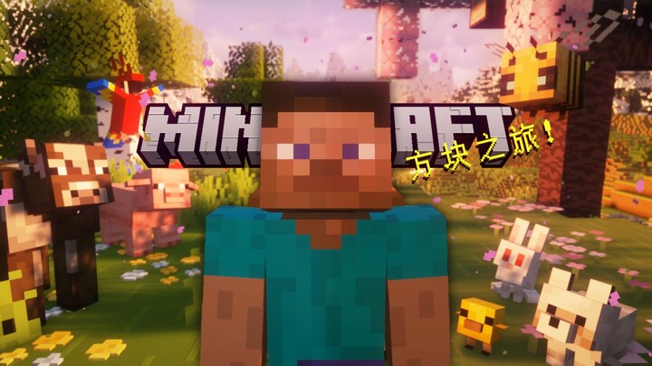 Infinite Blocks, Endless Journey