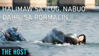 Halimaw Sa Ilog, Nabuo Dahil Sa Pormalin | The H0st (2006) Movie Recap Explained in Tagalog