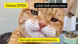 OYEN WIBU LAGI MARAH 😺