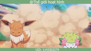 Alola League Battle Royal _Lần đánh trận cuối cùng _ Pokemon AMV #anime #schooltime