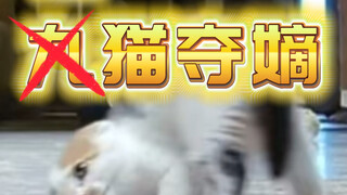 跟它爹一个死出