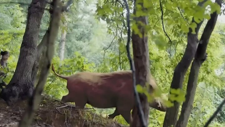 (พากย์ไทย) เด็กสาวทะลุมิติมาเป็นชาวนา!! มีระบบพลังเทพ เลี้ยงครอบครัว