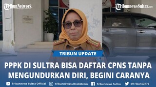 PPPK di Sulawesi Tenggara Bisa Daftar CPNS 2024 Tanpa Harus Mengundurkan Diri, Begini Caranya