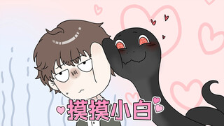 摸摸小白