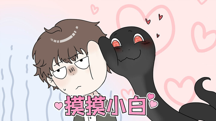 摸摸小白