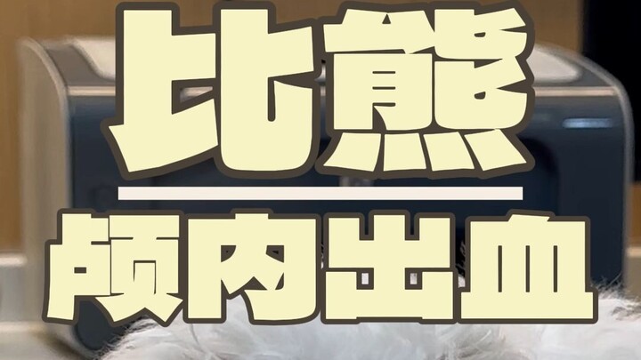 A 600-gram puppy was kicked so hard it suffered a traumatic brain injury and was then abandoned...