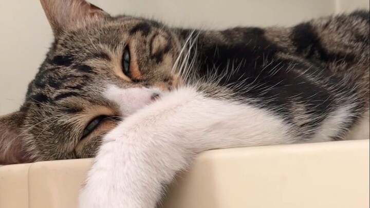 Kalau saja tidak menendang kursi, aku pasti bisa langsung berlari kembali ke kamar tidur 【Uuuu adala
