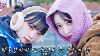 Cựu thành viên IZ*ONE tái hợp! Miyawaki Sakura và Choi Ye-na hội ngộ trượt tuyết trên núi tuyết!