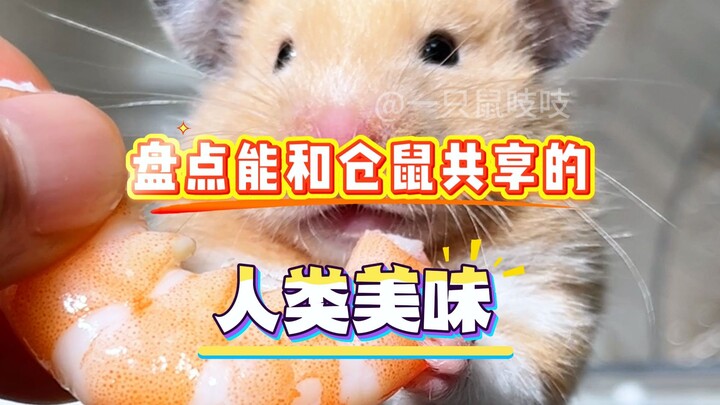 Điểm danh những món ngon của người mà chuột hamster có thể cùng thưởng thức