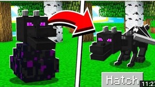 How to hatch ender dragon egg step by step 😱😱