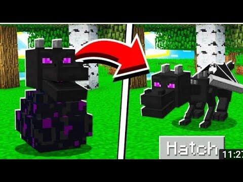 How to hatch ender dragon egg step by step 😱😱