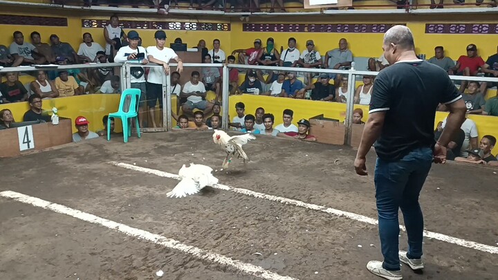 3rd fight ALDREAM WHITE