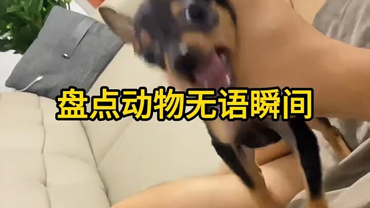 【Rạp hát Tiểu F】Tác phẩm mới nhất của tôi, mau đến xem ngay!
