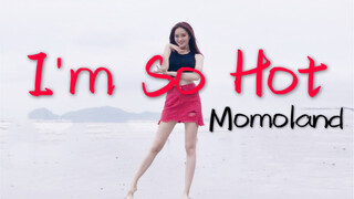 【Sunnyleaf】I'm so hot-momoland 走出自闭，带你海边蹦迪3.0 又短又粗的腿原形毕露(｡･ˇʚˇ･｡)马都没眼看ᐕ)⁾⁾