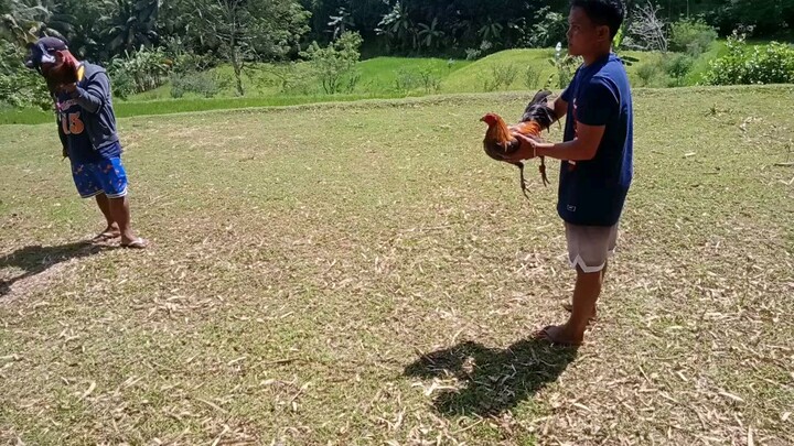 funrun,, quality, contra iti,,