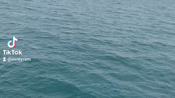 ref.makeeasygreen.com/Osreryam