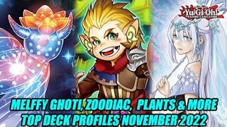 Melffy Ghoti, Zoodiac, Plants, & More! Yu-Gi-Oh! Top Deck Profiles November 2022