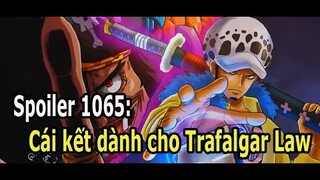 SPOILER ONE PIECE CHAP 1065: CÁI KẾT NÀO DÀNH CHO TRAFALAR LAW, VEGAPUNK VỀ CÙNG PHE DRAGON ???