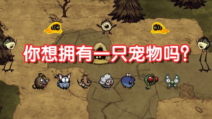 【Don't Starve Together】Mengajak Anda Mengenal Segala Hal tentang Hewan Peliharaan di Don't Starve To