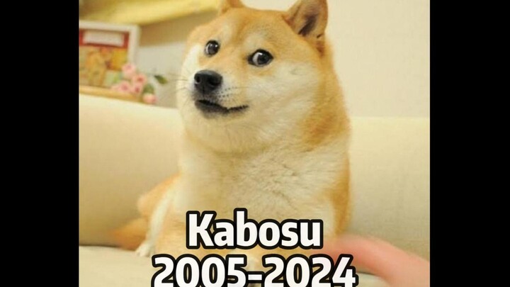 โดเกะ ราตรีสวัสดิ์~