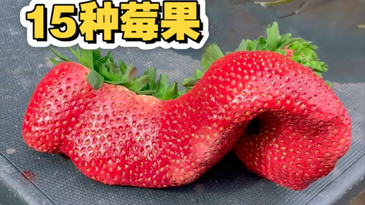 คุณเคยกินผลเบอร์รี่ 15 ชนิดนี้กี่ชนิดแล้ว