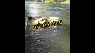 พาเด็กๆไปเที่ยวแก่งกระจานกันค่า