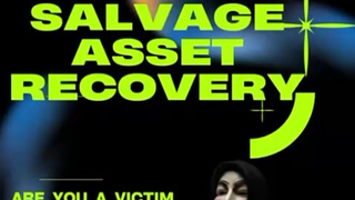 CONSLUT A LICENSED HACKER TO RECOVER LOST CRYPTO -CONTACT SALVAGE ASSET RECOVERY