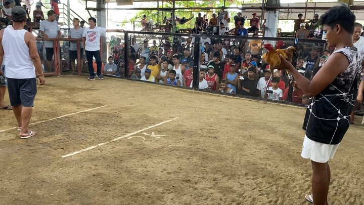 Super Bulik win First fight Talogtog Cockpit 2hits