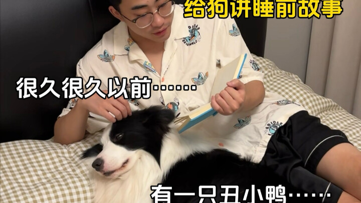 The Double Standards in Dog Owners Before and After Getting a Dog vs. Cat Owners Before and After Ge