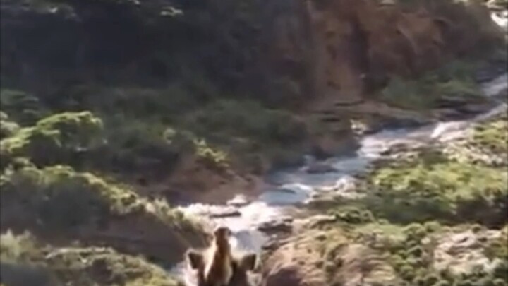 Chào mừng em đến với nhà của bọn anh.