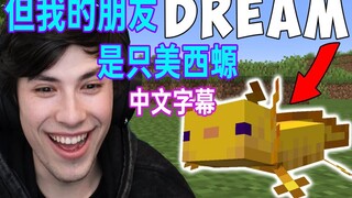 【MCYT/GeorgeNotFound/Chinese subtitles】Dream turned into an axolotl