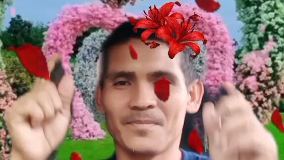 trip lang