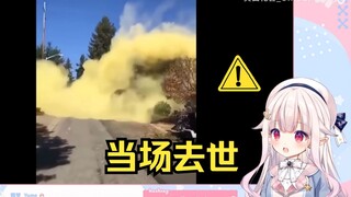 日本萝莉看《一颗杉树的花粉量有多少》当场去世 日本花粉症就这么来的