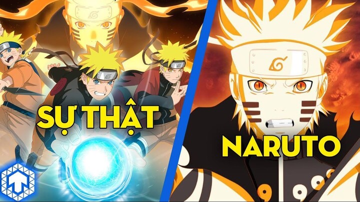 Tổng Hợp Sự Thật Thú Vị Về Narutobaco | Naruto