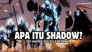 Asal Usul Shadow di Anime Solo Leveling? Yuk, Cari Tahu!"🕵️