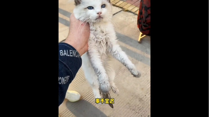 (1) ความชอบคือความปีติยินดีเพียงแวบแรก แล้วการรบกวนและการละทิ้งล่ะคืออะไร?