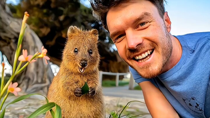 Allan Dixon absolutely loves little animals and is a pro at interacting with them—let’s check out hi