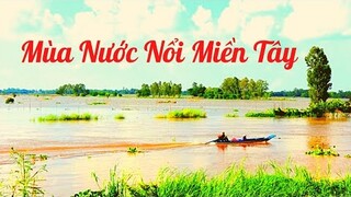 Mùa Nước Nổi Miền Tây | Cảnh Đẹp Miền Tây | Tú Rio Vlogs