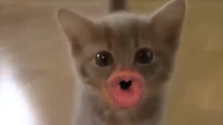 Setelah nonton, otak langsung ngadat!