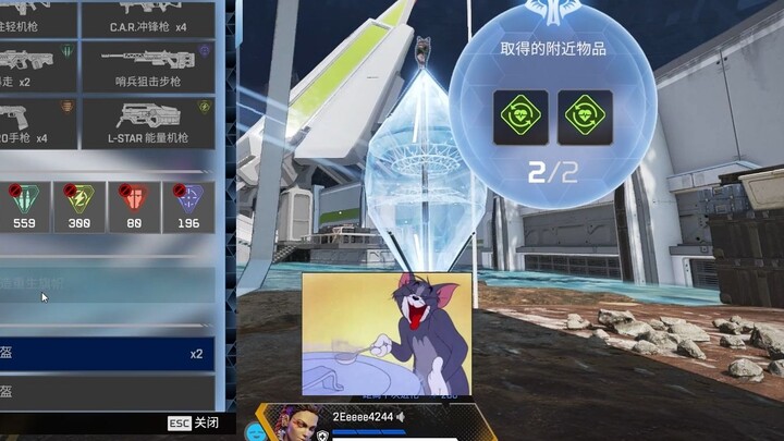 Ibu menemukan dua kalung anjing