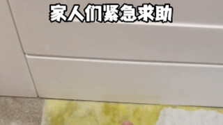 紧急求助…吸尿纸也塞不进去啊…