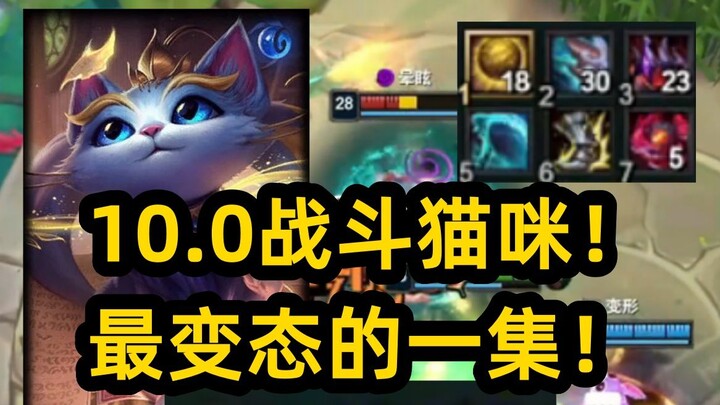 10.0 Cat! Cat Punch One-Shots! Cat Stands and Fights to Win Against VN! 10.0 Plan (10,000+) Prize Po