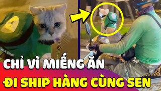 Bé Mèo vất vả CHẠY GRAP cùng Sen đến còng lưng, cũng chỉ vì MIẾNG CƠM MANH CÁ mà khổ cực 😂 Gâu Đần